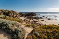 AUS - Cape Naturaliste o2865